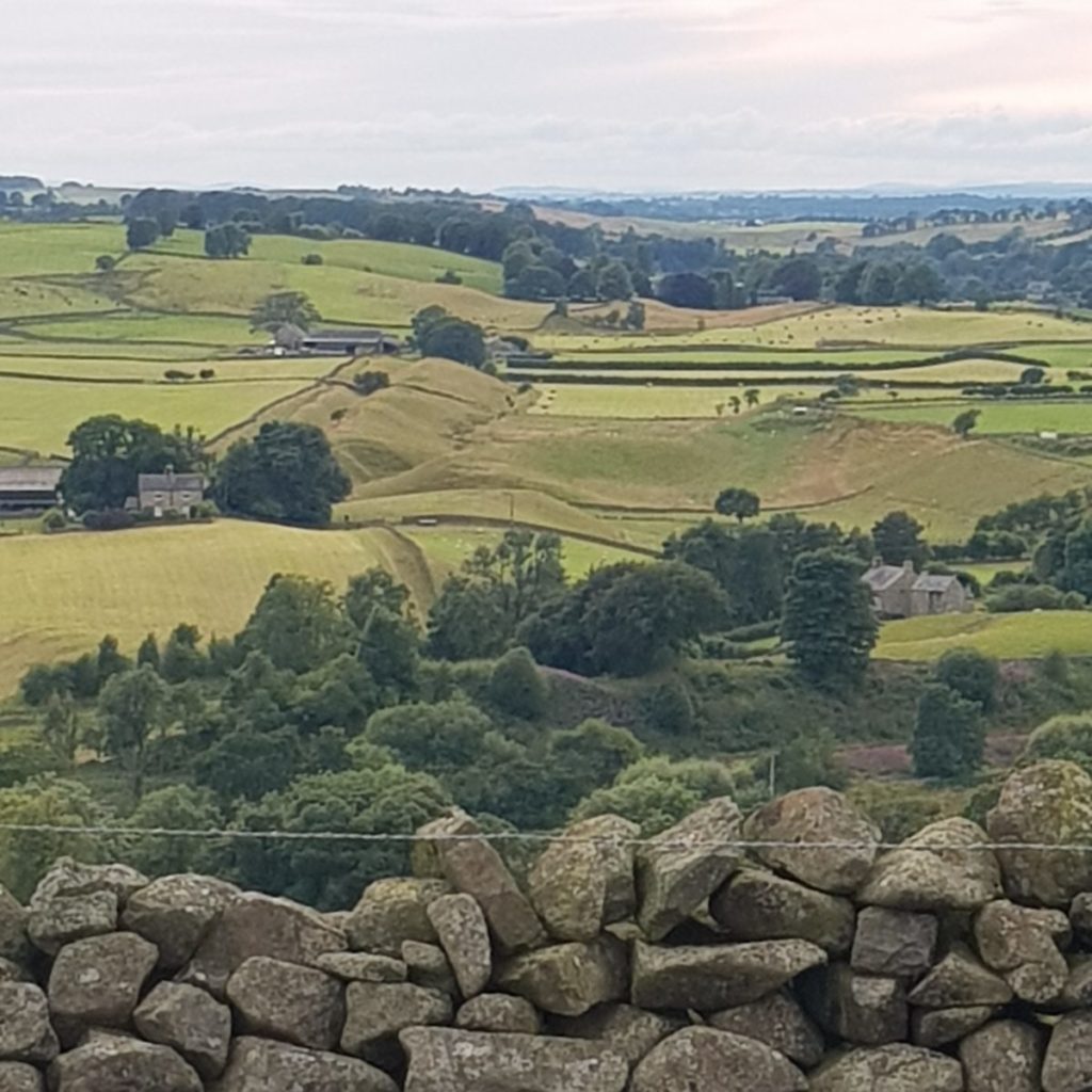 vallum looking towards the solway coast from mile castle 46