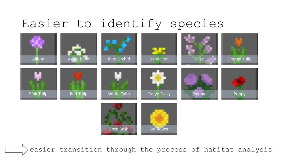 Sample species created in Minecraft