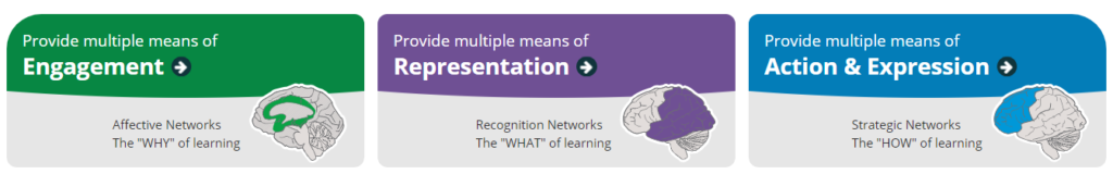 Universal Design for Learning Guidelines