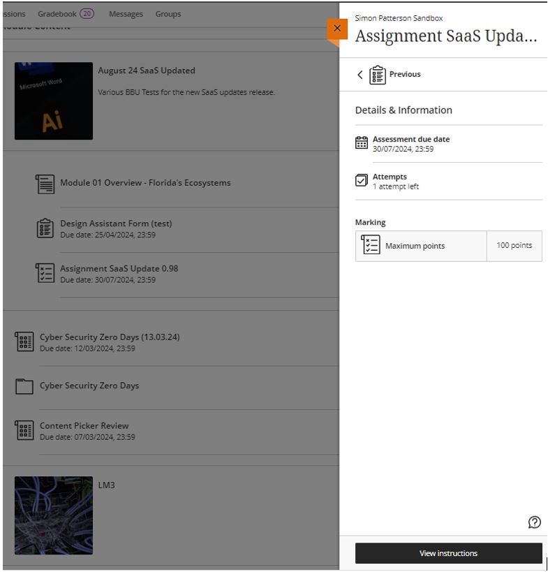 Image showing the student's view of the new Assignment Information panel and the View Instructions option.