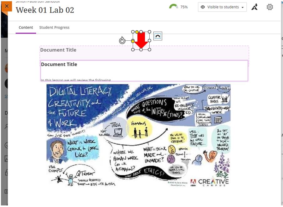 Images showing how content blocks are able to be moved above or below other contet blocks in the current Blackboard Documents.