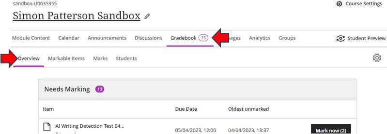 Image showing the Gradebook indicator in the module menu will show a figure up to 99. When 100+ submissions are reached, it will display 99+.