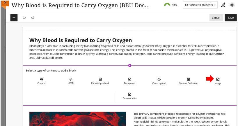 Image showing the new Add Image building block that has been added to the Document construction options in Blackboard.
