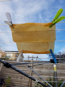 A photo of a square piece of bacterial cellulose hanging with pegs on a washing line