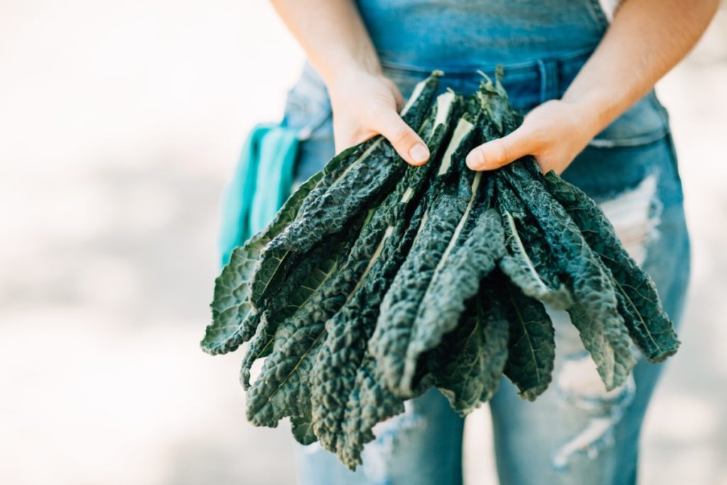 Person holding a bunch of kale.