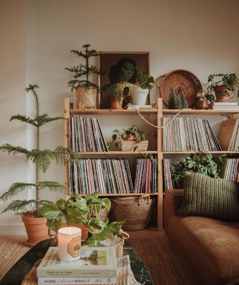 Image shows rustic bookshelves, houseplants and a brown leather sofa.