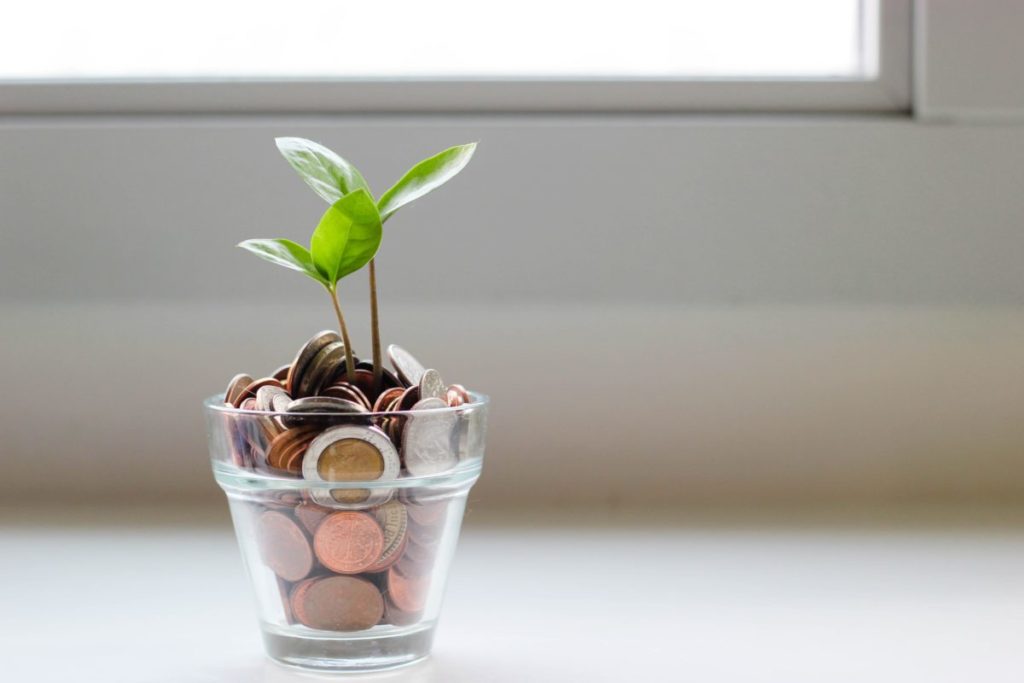 A small plant growing in a pot of copper coins.