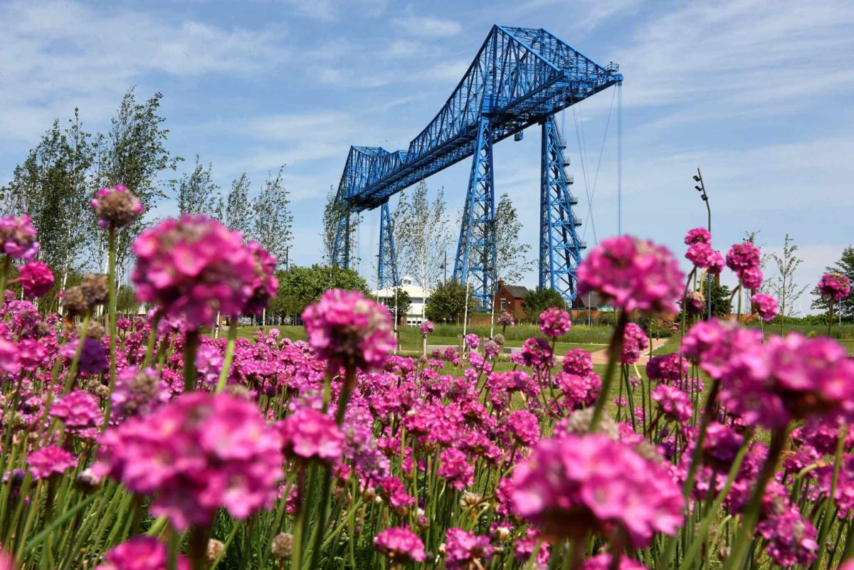 Transporter Bridge with pink flowers in the foreground