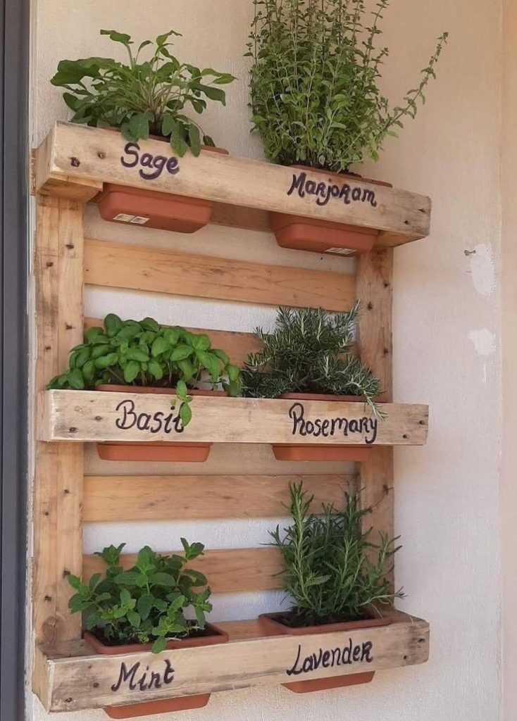 Wall mounted pallet planter with a mix of herbs.