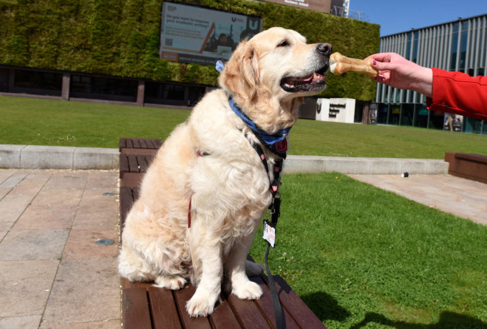 Brengle enjoying a treat