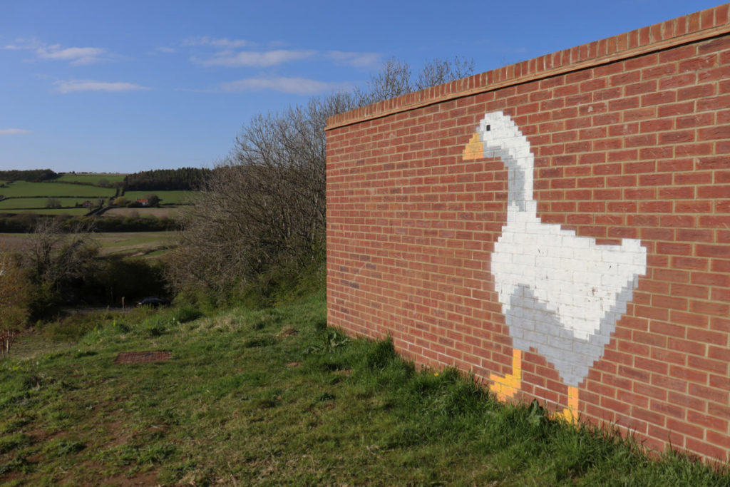 A large goose overlooking the fields